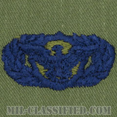警備機能章 (ベーシック)（Security Police Functional Badge, Basic）[サブデュード/ブルー刺繍/パッチ]の画像