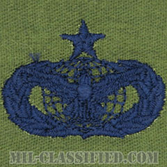 部隊防護章 (シニア)（Force Protection Badge, Senior）[サブデュード/ブルー刺繍/パッチ]の画像