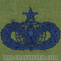 部隊防護章 (シニア)（Force Protection Badge, Senior）[サブデュード/ブルー刺繍/パッチ]画像