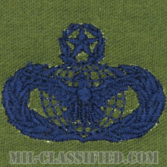部隊防護章 (マスター)（Force Protection Badge, Master）[サブデュード/ブルー刺繍/パッチ]の画像