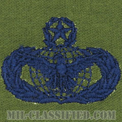 部隊防護章 (マスター)（Force Protection Badge, Master）[サブデュード/ブルー刺繍/パッチ]画像