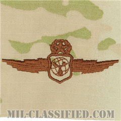 気象環境科学将校章 (マスター)（Weather and Environmental Sciences Officer Badge, Master）[OCP（3C）/ブラウン刺繍/パッチ]の画像