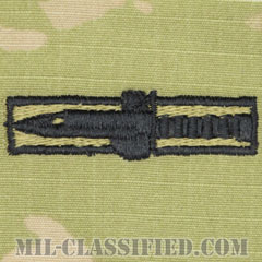 優秀兵士章（Expert Soldier Badge (ESB)）[OCP（3C）/パッチ]画像
