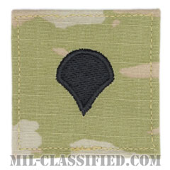 特技兵（Specialist (SPC)）[OCP（3C）/階級章/ベルクロ付パッチ]の画像