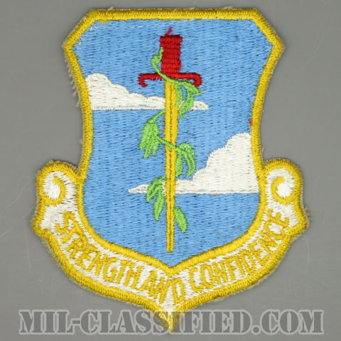 第380爆撃航空団（380th Bombardment Wing）[カラー/カットエッジ/パッチ/1960s/4インチ規格/中古1点物]画像