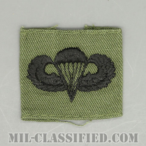 空挺章 (ベーシック)（Parachutist Badge, Basic）[サブデュード/パッチ/中古1点物]の画像