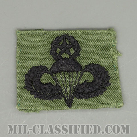空挺章 (マスター)（Parachutist Badge, Master）[サブデュード/パッチ/中古1点物]の画像