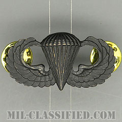 空挺章 (ベーシック)（Parachutist Badge, Basic）[サブデュード（ブラックメタル）/バッジ/中古1点物]の画像