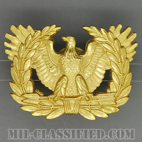 アメリカ陸軍制帽用帽章 (准尉用・男女兼用)（Army Service Cap Device, Warrant Officer）[カラー/バッジ/中古1点物]の画像