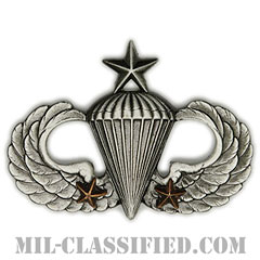 戦闘空挺章 (シニア) 降下2回（Combat Parachutist Badge, Senior, Two Jump）[カラー/燻し銀/バッジ]画像