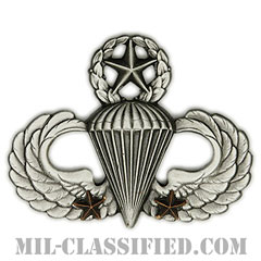 戦闘空挺章 (マスター) 降下2回（Combat Parachutist Badge, Master, Two Jump）[カラー/燻し銀/バッジ]の画像