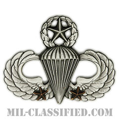 戦闘空挺章 (マスター) 降下2回（Combat Parachutist Badge, Master, Two Jump）[カラー/燻し銀/バッジ]画像