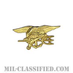 Special Warfare (SEAL)[カラー/ミニサイズ/バッジ]の画像