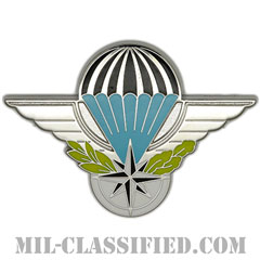 ルーマニア軍空挺章（Foreign Parachutist Badge, Romania）[カラー/バッジ]画像