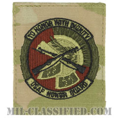 儀仗隊章 (ベーシック)（Honor Guard Badge, Basic）[OCP（3C）/ベルクロ付パッチ]画像