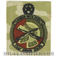 儀仗隊章 (マスター)（Honor Guard Badge, Master）[OCP（3C）/ベルクロ付パッチ]画像
