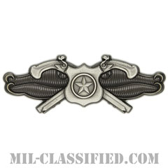 Navy Security Forces Specialist [カラー/燻し銀/バッジ]の画像