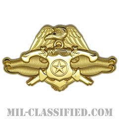 Navy Security Force Officer [カラー（ミラーゴールド）/バッジ]の画像
