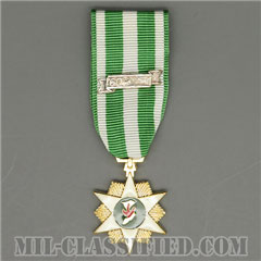 RVN Campaign Medal [ミニメダル（ミニチュア勲章・Miniature Medal）]画像
