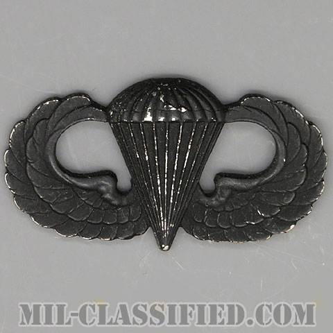 空挺章 (ベーシック)（Parachutist Badge, Basic）[サブデュード（ブラックメタル）/バッジ/中古1点物]の画像