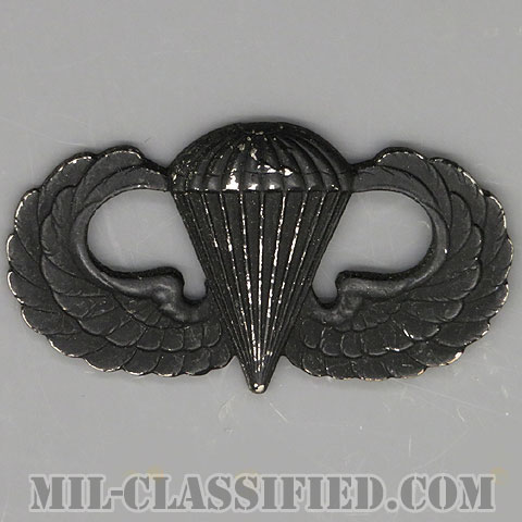 空挺章 (ベーシック)（Parachutist Badge, Basic）[サブデュード（ブラックメタル）/バッジ/中古1点物]画像