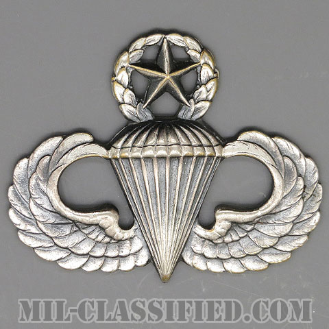 空挺章 (マスター)（Parachutist Badge, Master）[カラー/燻し銀/バッジ/中古1点物]画像
