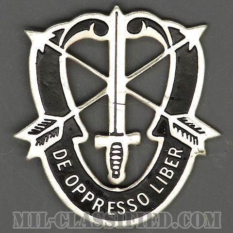 特殊部隊群（Special Forces Group）[カラー/クレスト（Crest・DUI・DI）バッジ（ビアカン）/ローカルメイド/1960s/中古1点物]の画像