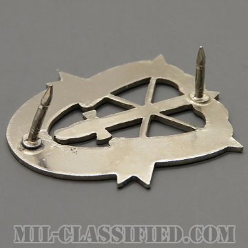 特殊部隊群（Special Forces Group）[カラー/クレスト（Crest・DUI・DI）バッジ（ビアカン）/ローカルメイド/1960s/中古1点物]の画像