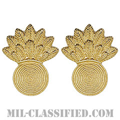 ガンナー章（Infantry Weapons Officer/Marine Gunner）[カラー/コート用レギュラーサイズ/海兵隊階級章/バッジ/ペア（2個1組）]の画像