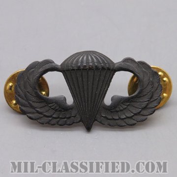 空挺章 (ベーシック)（Parachutist Badge, Basic）[サブデュード（ブラックメタル）/バッジ/中古1点物]画像