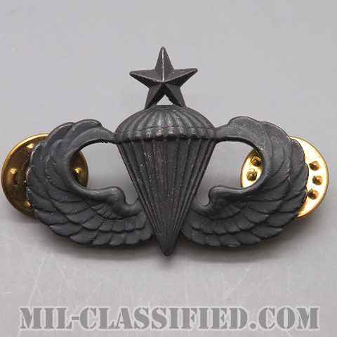 空挺章 (シニア)（Parachutist Badge, Senior）[サブデュード（ブラックメタル）/バッジ/中古1点物]画像