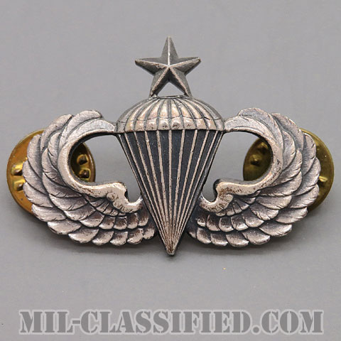 空挺章 (シニア)（Parachutist Badge, Senior）[カラー/1960s/燻し銀（銀張り・Silver Filled）/バッジ/中古1点物]画像