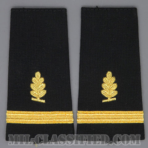 少尉 (衛生業務科)（Ensign (ENS), Medical Service Corps）[ショルダー階級章/ペア（2枚1組）/中古1点物]の画像