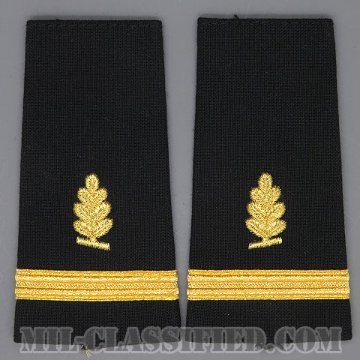 少尉 (衛生業務科)（Ensign (ENS), Medical Service Corps）[ショルダー階級章/ペア（2枚1組）/中古1点物]画像