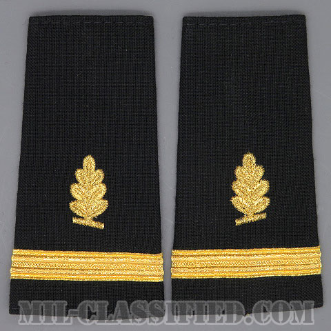 少尉 (衛生業務科)（Ensign (ENS), Medical Service Corps）[ショルダー階級章/ペア（2枚1組）/中古1点物]の画像