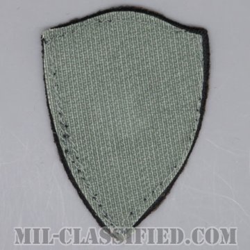 アラスカ州 州兵（National Guard, Alaska）[UCP（ACU）/メロウエッジ/ベルクロ付パッチ/中古1点物]の画像
