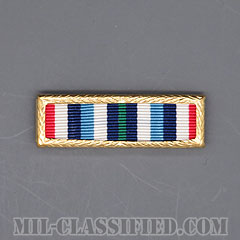 DHS Outstanding Unit Award [リボン（略綬・略章・Ribbon）/スモールフレーム付/陸軍以外用部隊表彰（Unit Award）]画像