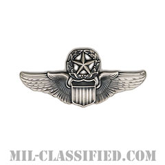 航空機操縦士章 (コマンド・パイロット)（Air Force Command Pilot Badge）[カラー/燻し銀/ミニサイズ/バッジ]画像