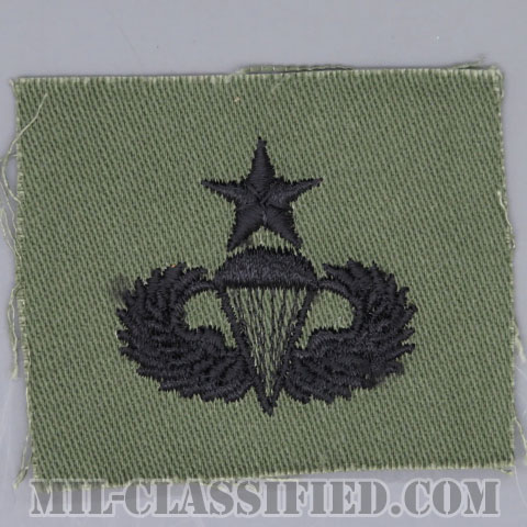 空挺章 (シニア)（Parachutist Badge, Senior, Senior）[サブデュード/1960s/コットン100％/パッチ/1点物]の画像