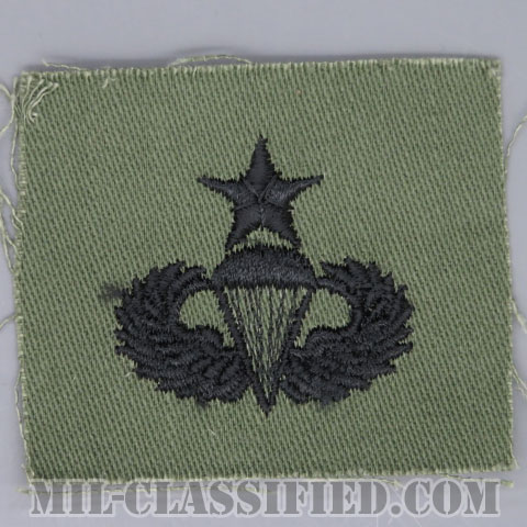 空挺章 (シニア)（Parachutist Badge, Senior, Senior）[サブデュード/1960s/コットン100％/パッチ/1点物]画像
