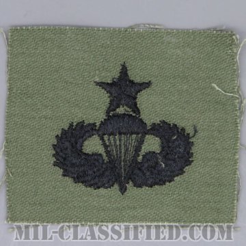 空挺章 (シニア)（Parachutist Badge, Senior, Senior）[サブデュード/1960s/コットン100％/パッチ/1点物]の画像