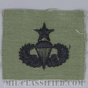 空挺章 (シニア)（Parachutist Badge, Senior, Senior）[サブデュード/1960s/コットン100％/パッチ/1点物]画像