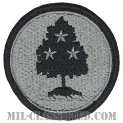 テネシー州 州兵（National Guard, Tennessee）[UCP（ACU）/メロウエッジ/縫い付け用（ベルクロ未加工）パッチ]の画像