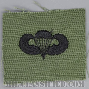 空挺章 (ベーシック)（Parachutist Badge, Basic）[サブデュード/1960s/コットン100％/パッチ/1点物]画像