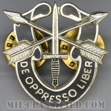 特殊部隊群（Special Forces Group）[カラー/クレスト（Crest・DUI・DI）バッジ/1960s/中古1点物]の画像