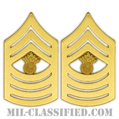 上級曹長（Master Gunnery Sergeant (MGySgt)）[カラー（マットゴールド）/海兵隊階級章/バッジ/ペア（2個1組）]の画像