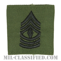 先任曹長（First Sergeant (1SG)）[サブデュード/ゴアテックスパーカー用スライドオン階級章]の画像
