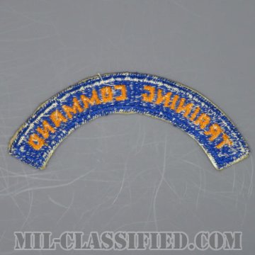 航空訓練軍団タブ（AAF, Training Command Tab）[カラー/カットエッジ/パッチ/1点物]の画像