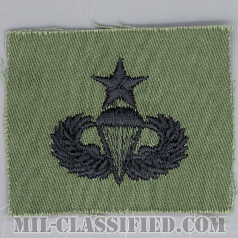 空挺章 (シニア)（Parachutist Badge, Senior）[サブデュード/1960s/コットン100％/パッチ/1点物]の画像