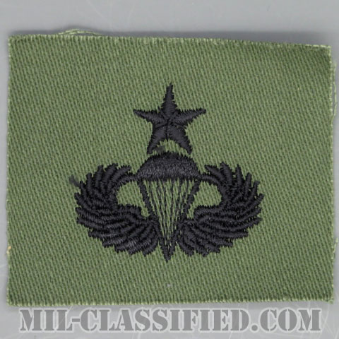 空挺章 (シニア)（Parachutist Badge, Senior）[サブデュード/1960s/コットン100％/パッチ/1点物]の画像